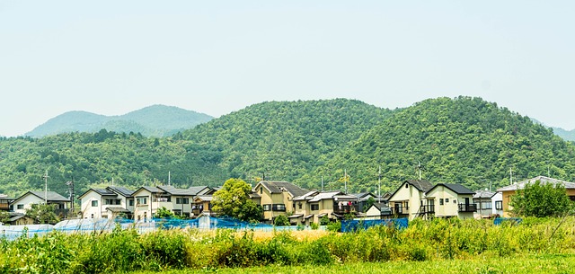 日本 岚山 景观 - 上的免费照片