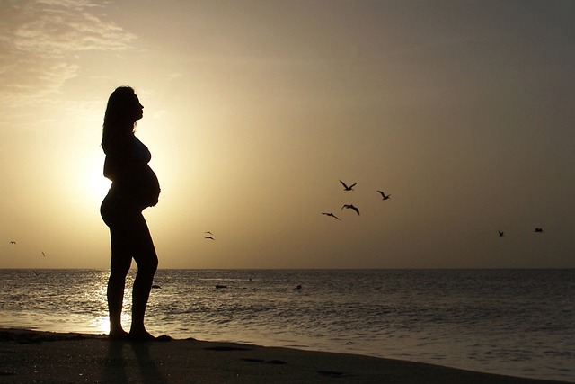 年轻漂亮 怀孕的女人 在海滩 - 上的免费照片