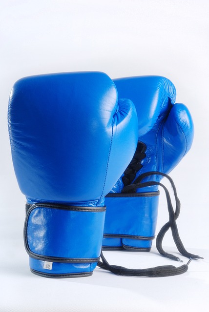 蓝色拳击手套 在白色背景上孤立 斗争 - 上的免费照片