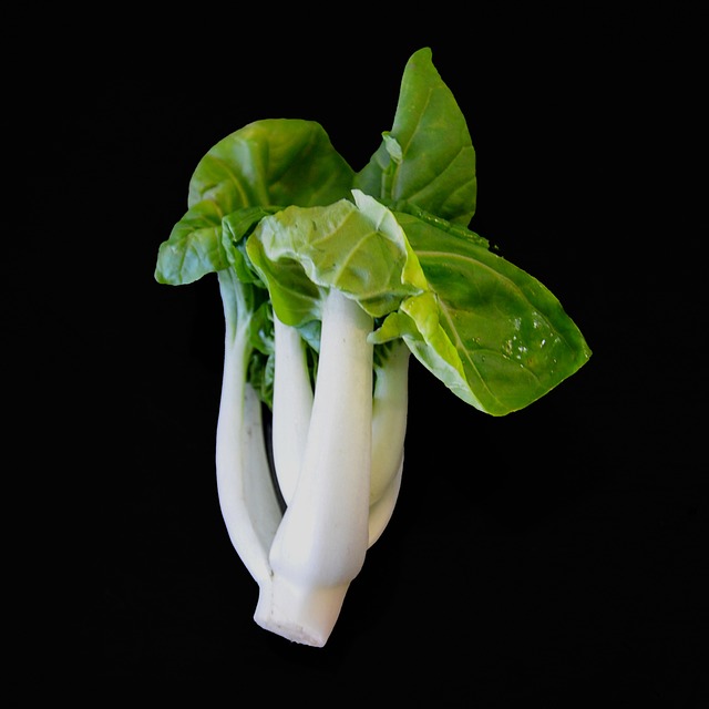 小白菜 芥菜 卷心菜 - 上的免费照片