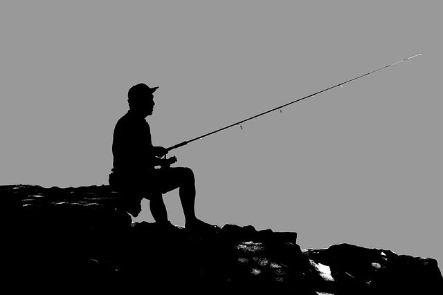 渔夫 男人 钓鱼 - 上的免费照片
