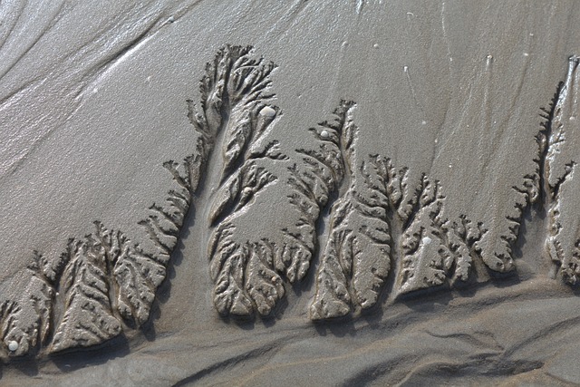 北海 瓦登海 沙画 - 上的免费照片