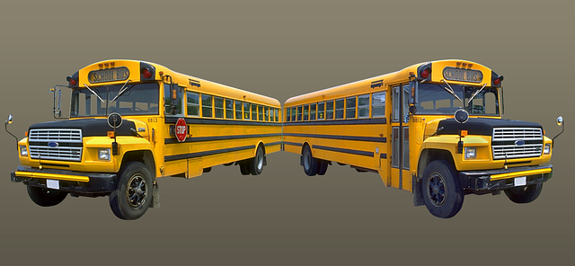 校车 公共汽车 学校 - 上的免费图片