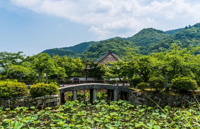 岚山 日本 百合池 - 上的免费照片