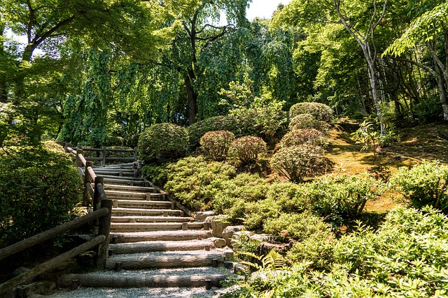 岚山 日本 楼梯 小径公园 - 上的免费照片