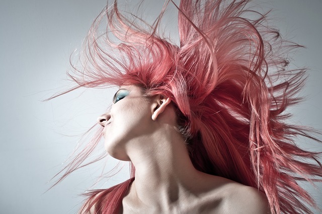 粉红色的头发 发型 女士 - 上的免费照片