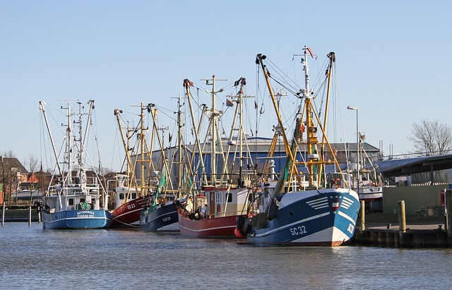 蟹刀 刀具 港口 - 上的免费照片