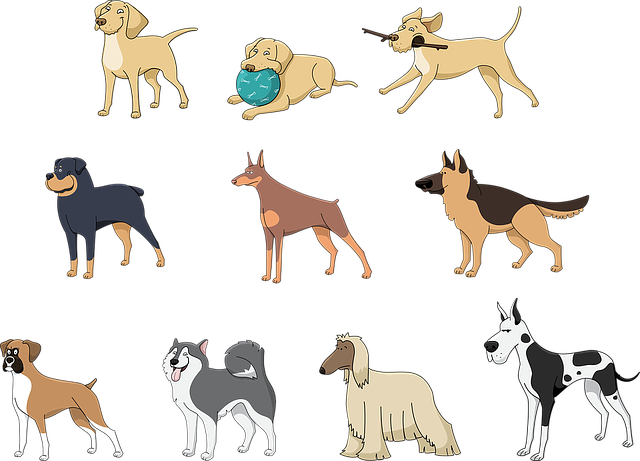 动物 宠物 狗 - 免费矢量图形