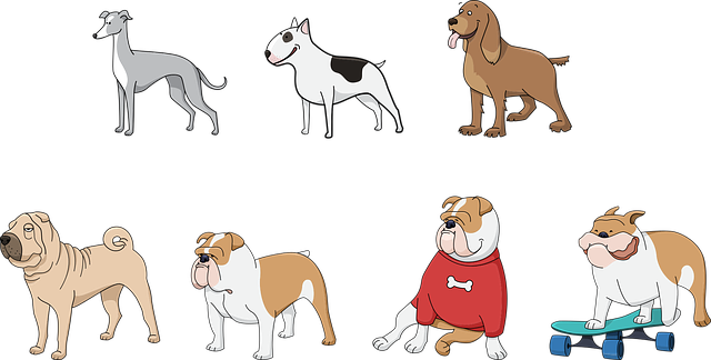 狗 动物 宠物 - 免费矢量图形