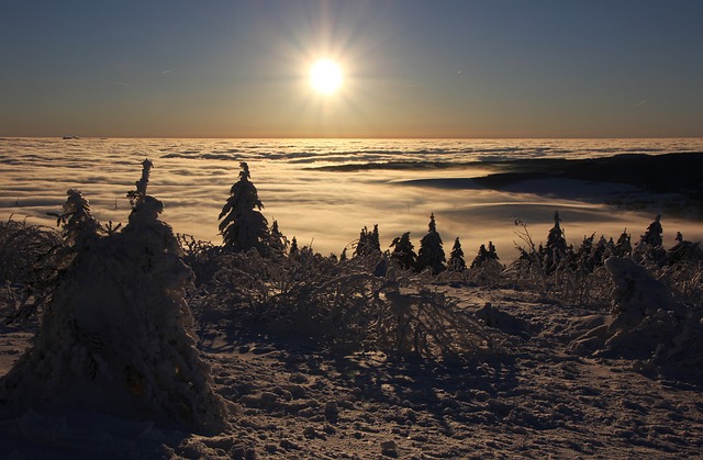 反演 多雾路段 - 上的免费照片