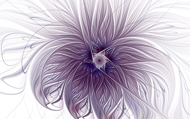 紫色的 薰衣草 一缕 - 上的免费图片