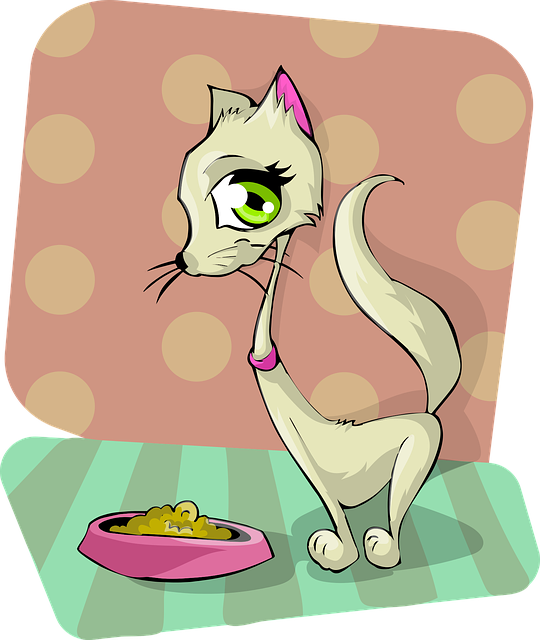 猫 食物 吃 - 免费矢量图形