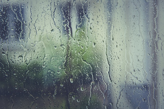 雨塞 水 窗玻璃 - 上的免费照片