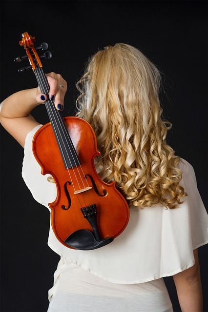 小提琴 音乐家 小提琴手 - 上的免费照片