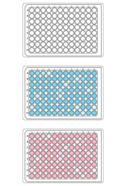 组织培养 科学 文化 - 上的免费图片