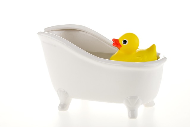 鸭 浴 水 - 上的免费照片