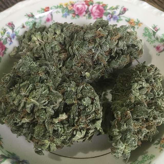 焦糖奶油 籼稻 大麻 - 上的免费照片