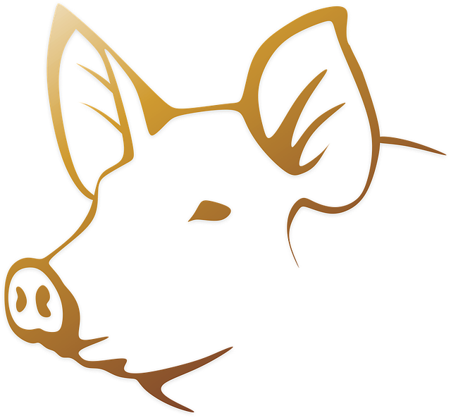 猪肉 猪 公猪 - 上的免费图片