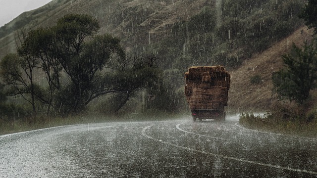 树 雨 路 - 上的免费照片