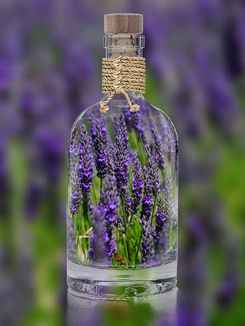 薰衣草 瓶子 植物 - 上的免费照片