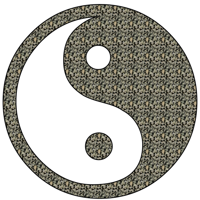 阴和阳 阴 杨 - 上的免费图片