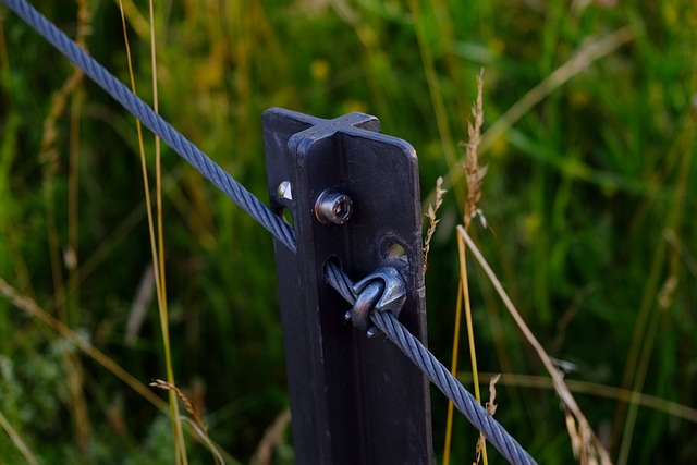 邮政 金属 赌注 - 上的免费照片