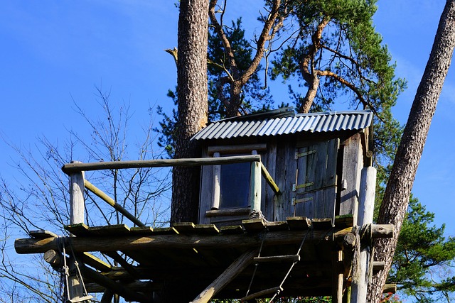 树 自然 树小屋 - 上的免费照片