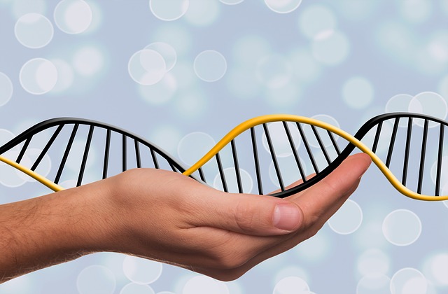 Dna Adn 脱氧核糖核酸 - 上的免费图片
