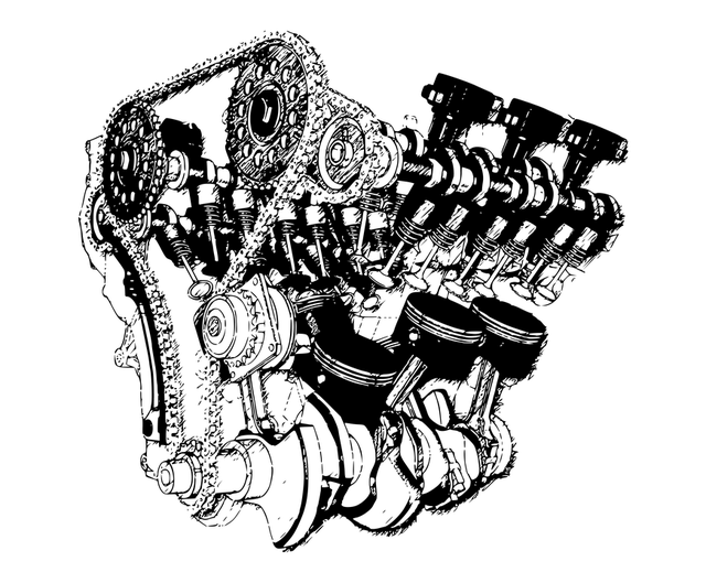 孤立 透明的 计划 - 上的免费图片