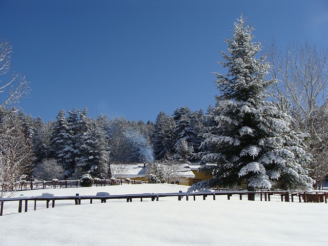 戒 山 雪 - 上的免费照片