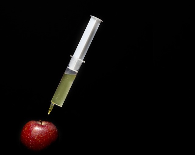 注射 注射器 苹果 - 上的免费照片