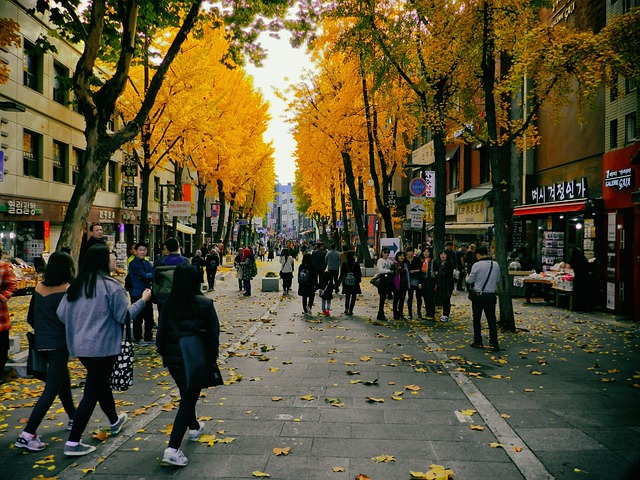秋季 银行 儿研所东 - 上的免费照片