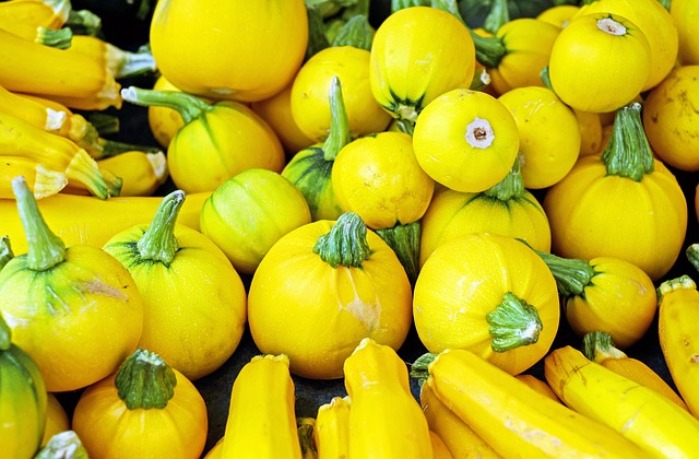 西葫芦 蔬菜 黄色 - 上的免费照片