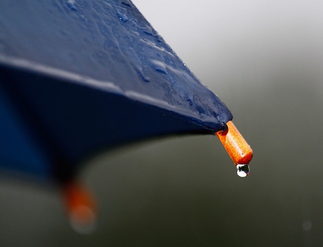 雨 雨伞 滴 - 上的免费照片
