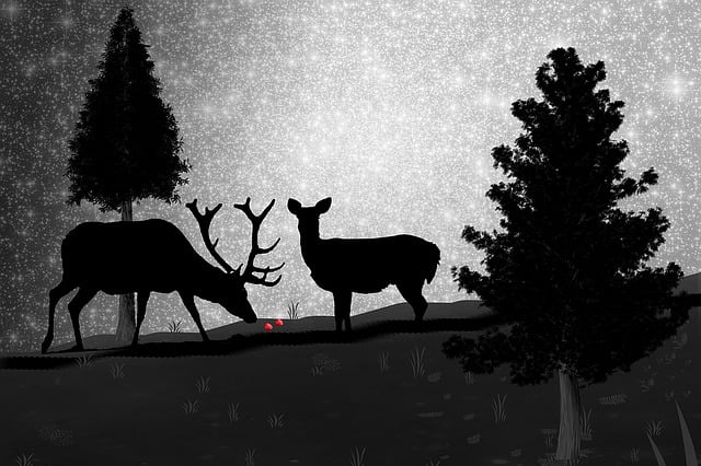 驯鹿 鹿 轮廓 - 上的免费图片