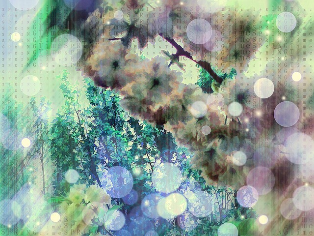 花树 开花 错别字 - 上的免费图片