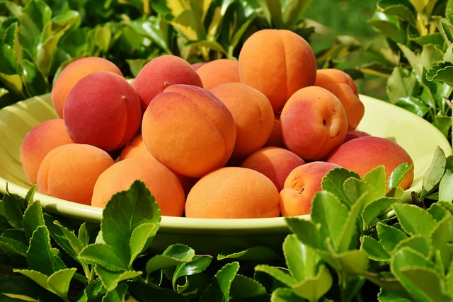 桃子 水果 碗 - 上的免费照片