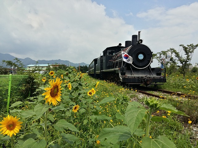 大韩民国 蒸汽机车 火车 - 上的免费照片