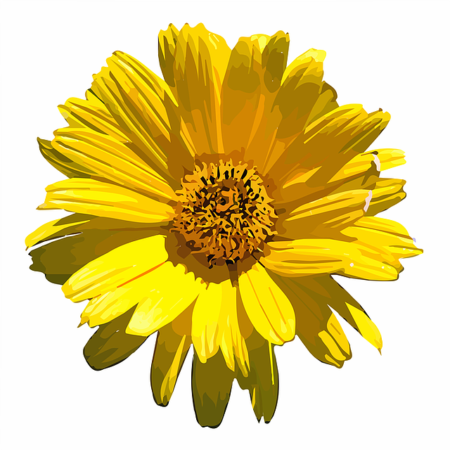 花 黄色 花园 - 免费矢量图形