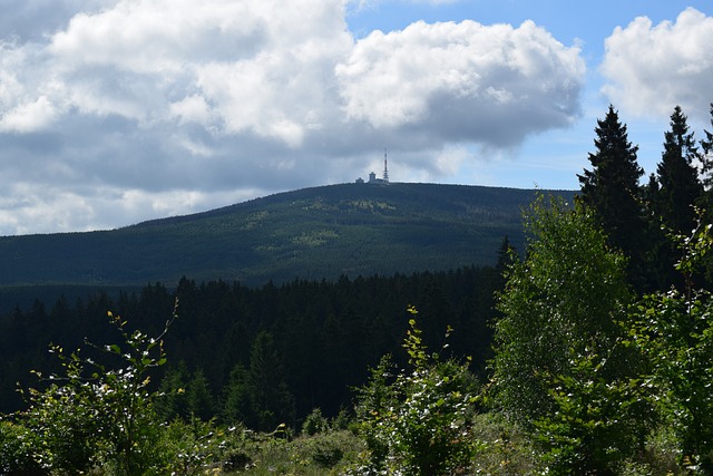 景观 森林 高地 - 上的免费照片