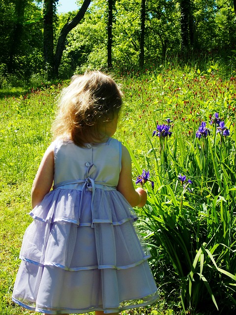 小姑娘 紫色连衣裙 虹膜 - 上的免费照片