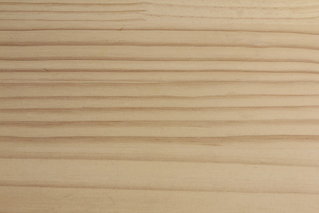 树 质地 背景 - 上的免费照片