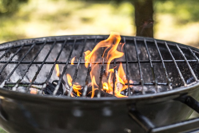 炙烤 烧烤季 火 - 上的免费照片