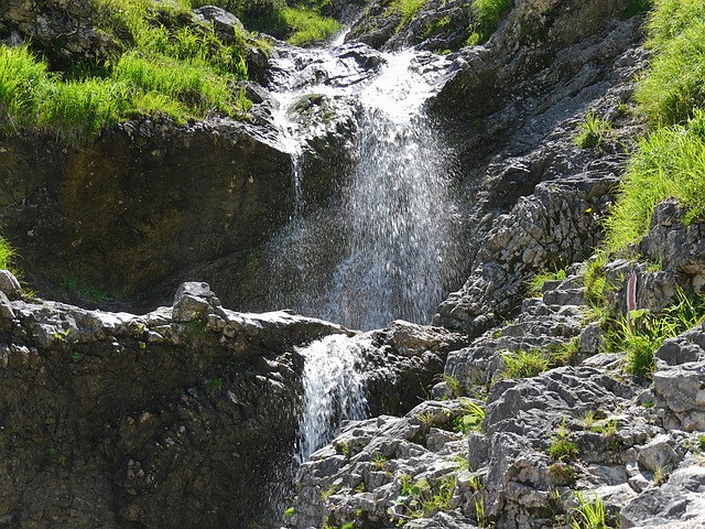 狂野的克鲁斯 巴伐利亚 坏维塞 - 上的免费照片