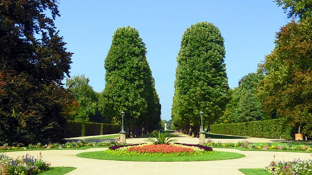 公园 城堡公园 Pillnitz - 上的免费照片