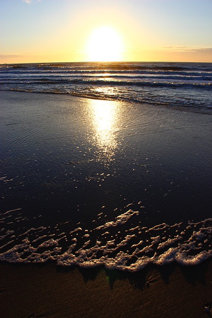Cadzand坏 荷兰 北海 - 上的免费照片