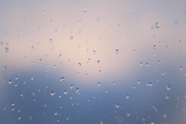 雨 天气 滴 - 上的免费照片