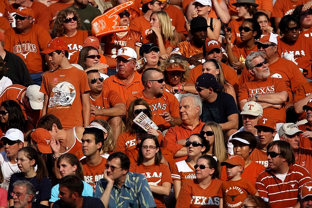 体育迷 观众 人群 - 上的免费照片