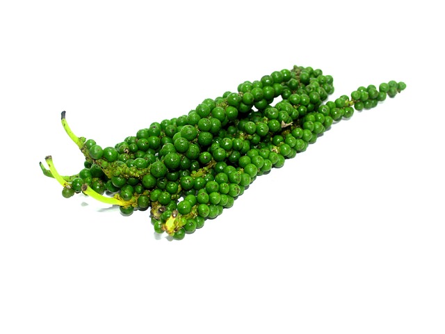 抗氧化剂 芳香 灯笼椒 - 上的免费照片