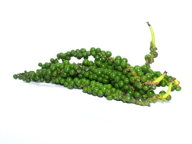 抗氧化剂 芳香 灯笼椒 - 上的免费照片